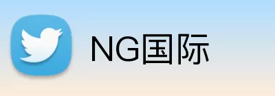 NG国际 Logo
